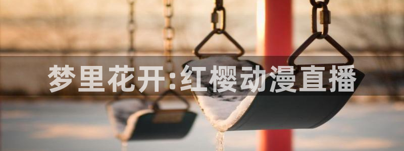 动漫天堂下载安装最新版