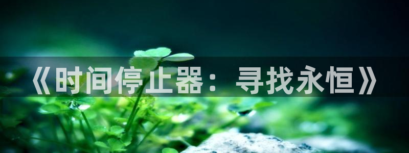 动漫天堂在线观看：《时间停止器：寻找永恒》