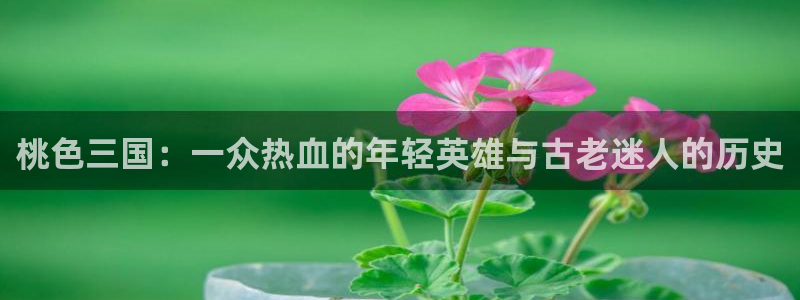动漫天堂在线看：桃色三国：一众热血的年轻英雄与古老迷人的历史
