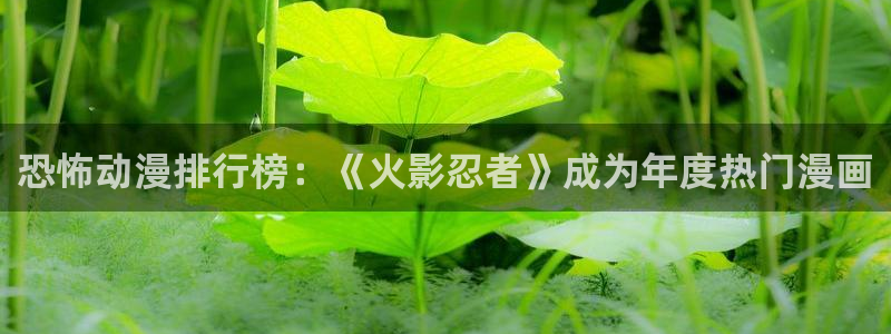 动漫天堂免费观看：恐怖动漫排行榜：《火影忍者》成为年度热门漫画