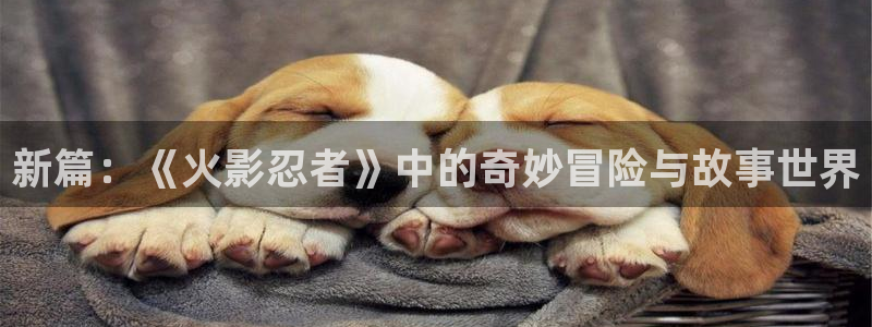 www.动漫天堂：新篇：《火影忍者》中的奇妙冒险与故事世界