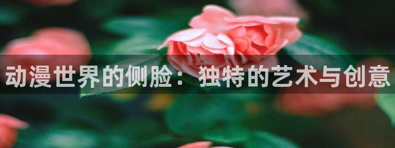 禁漫动漫天堂：动漫世界的侧脸：独特的艺术与创意