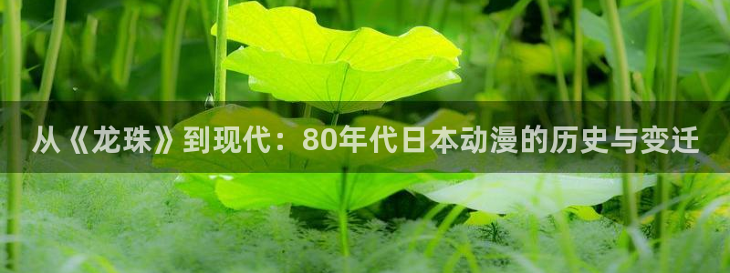动漫天堂在线：从《龙珠》到现代：80年代日本动漫的历史与变迁