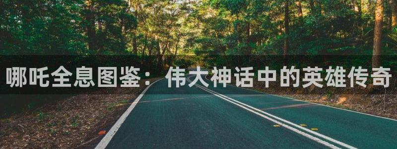 动漫天堂cc：哪吒全息图鉴：伟大神话中的英雄传奇
