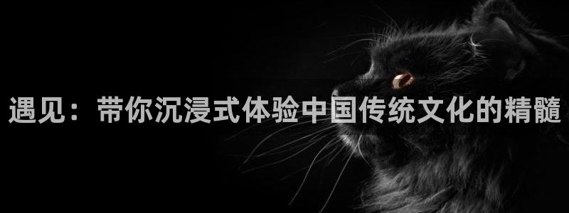 动漫天堂在线看：遇见：带你沉浸式体验中国传统文化的精髓