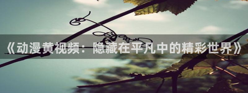 动漫天堂.