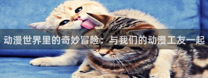 动漫天堂岛