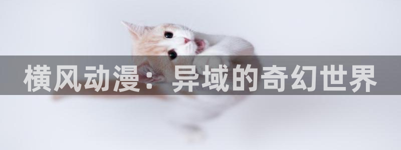 18禁动漫天堂