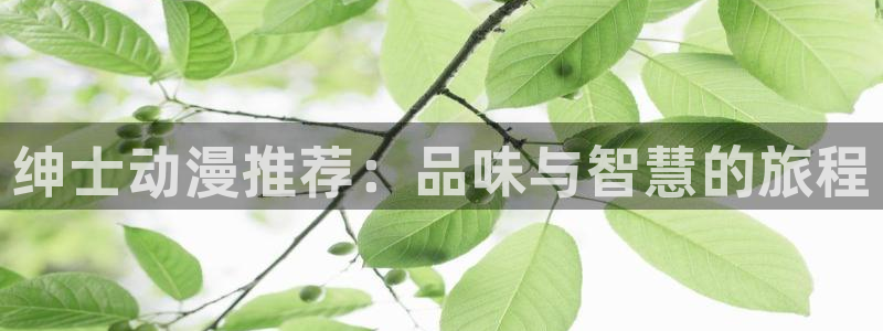 动漫天堂18