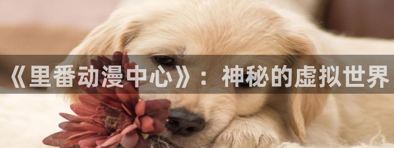 动漫天堂.
