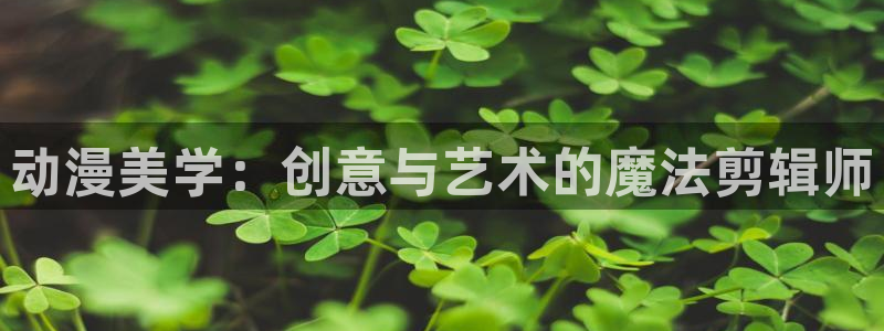 动漫天堂软件