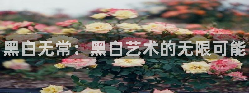 动漫天堂免费下载
