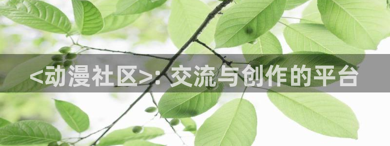 免费动漫天堂之吻