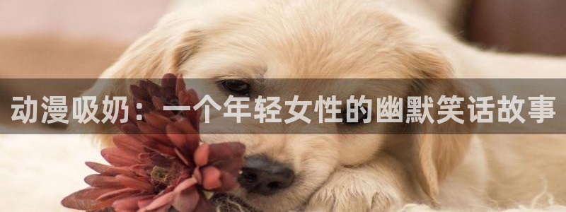 91动漫天堂