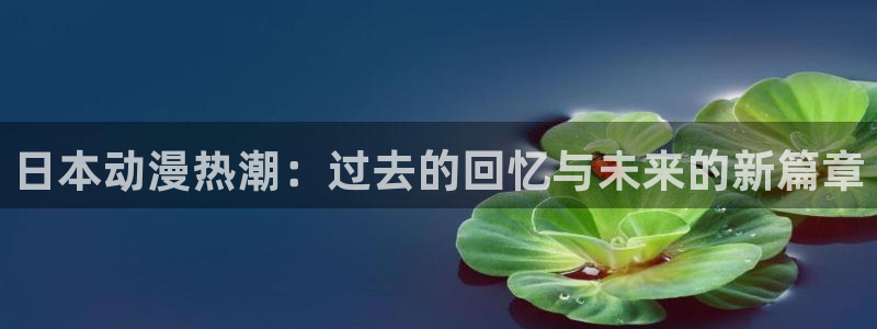 秋叶原动漫天堂